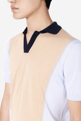 Light Blue and Light Brown